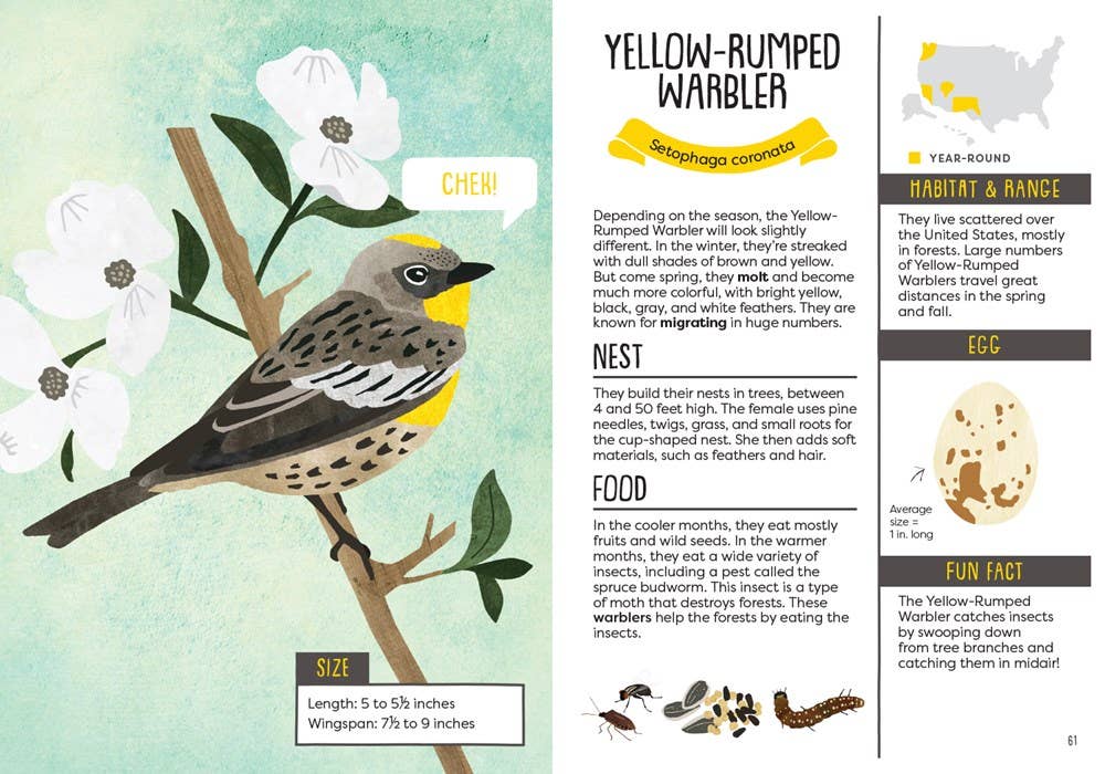 Kid’s Guide to Backyard Birds