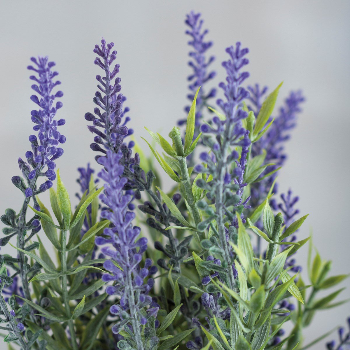 Lavender Bundle Bouquet