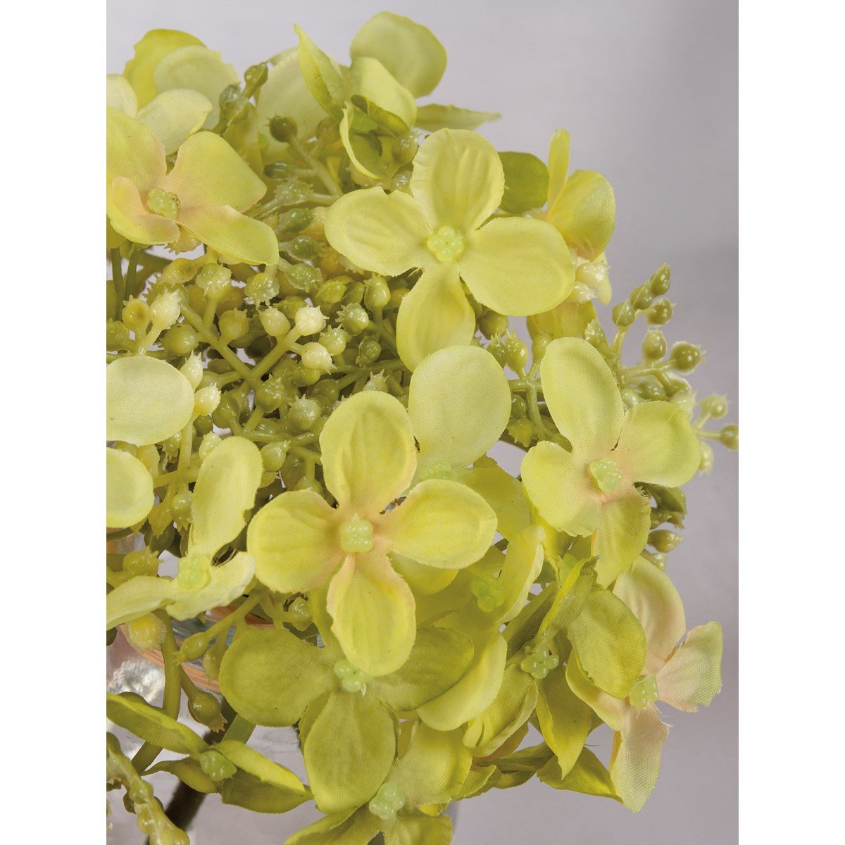 Green Hydrangea Vase