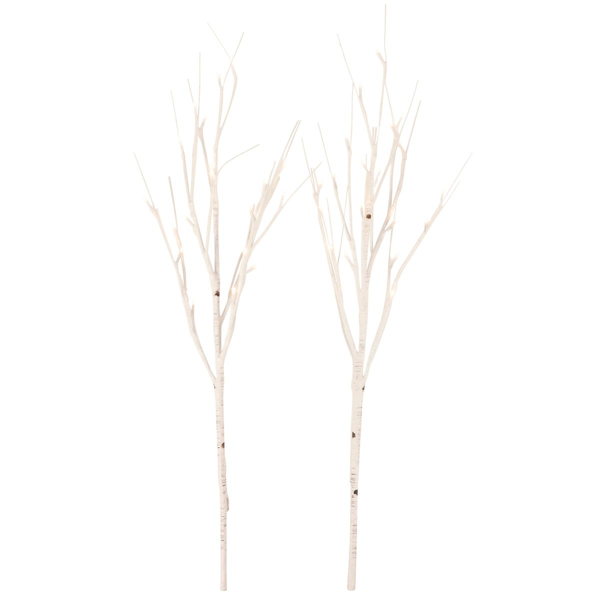 Birch Double Twig 30"