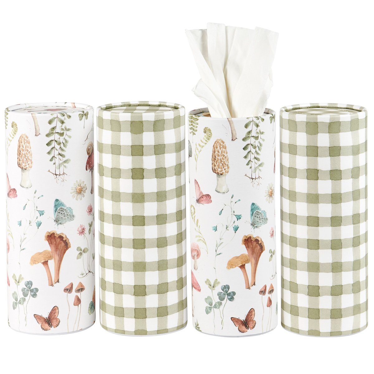 Mushroom Study - Tissue Box Set