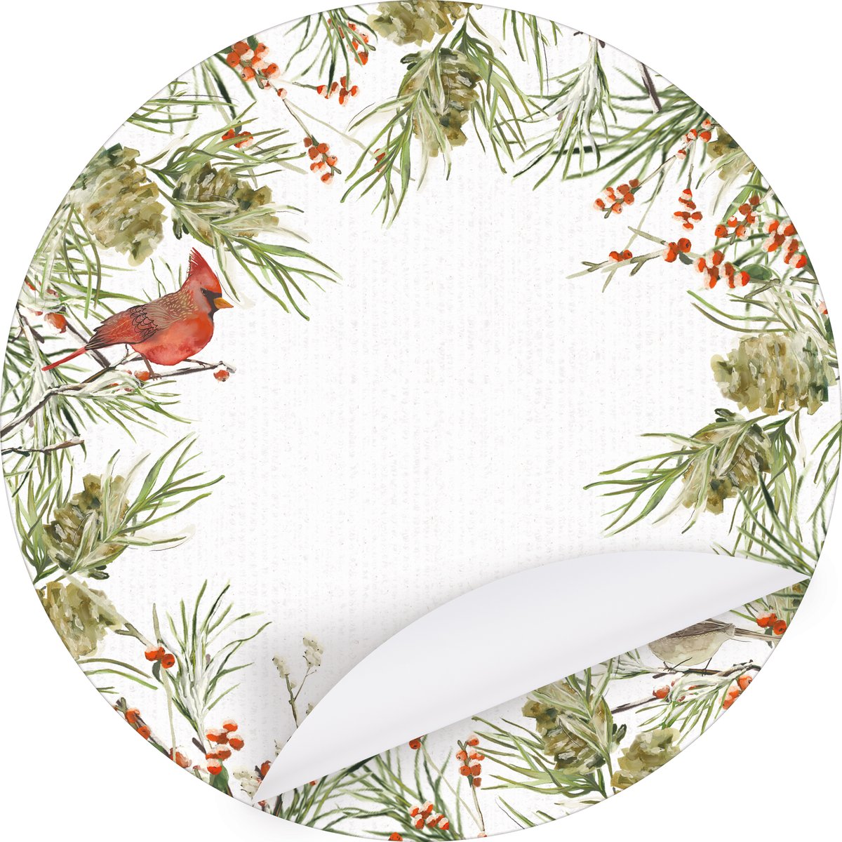 Winter Birds - Paper Placemats
