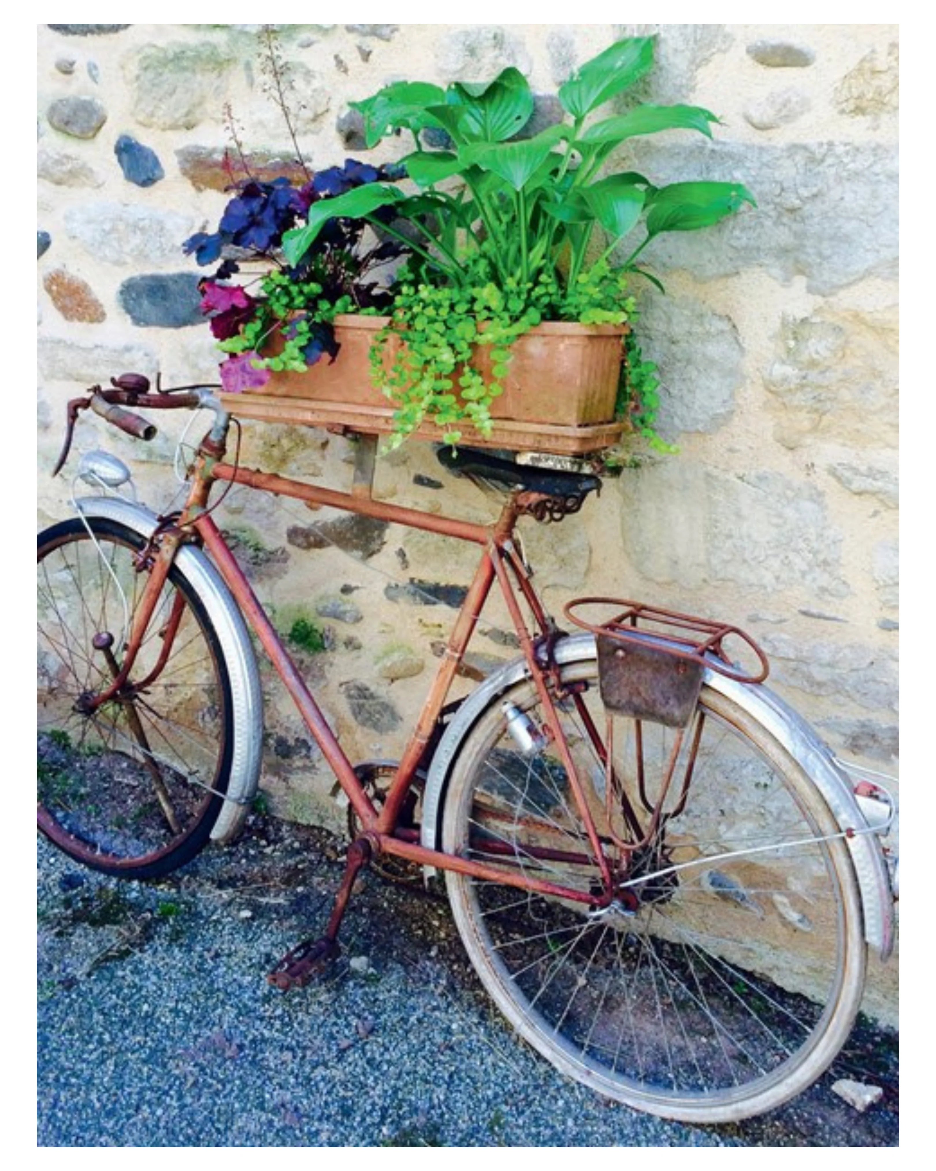 French From the Market