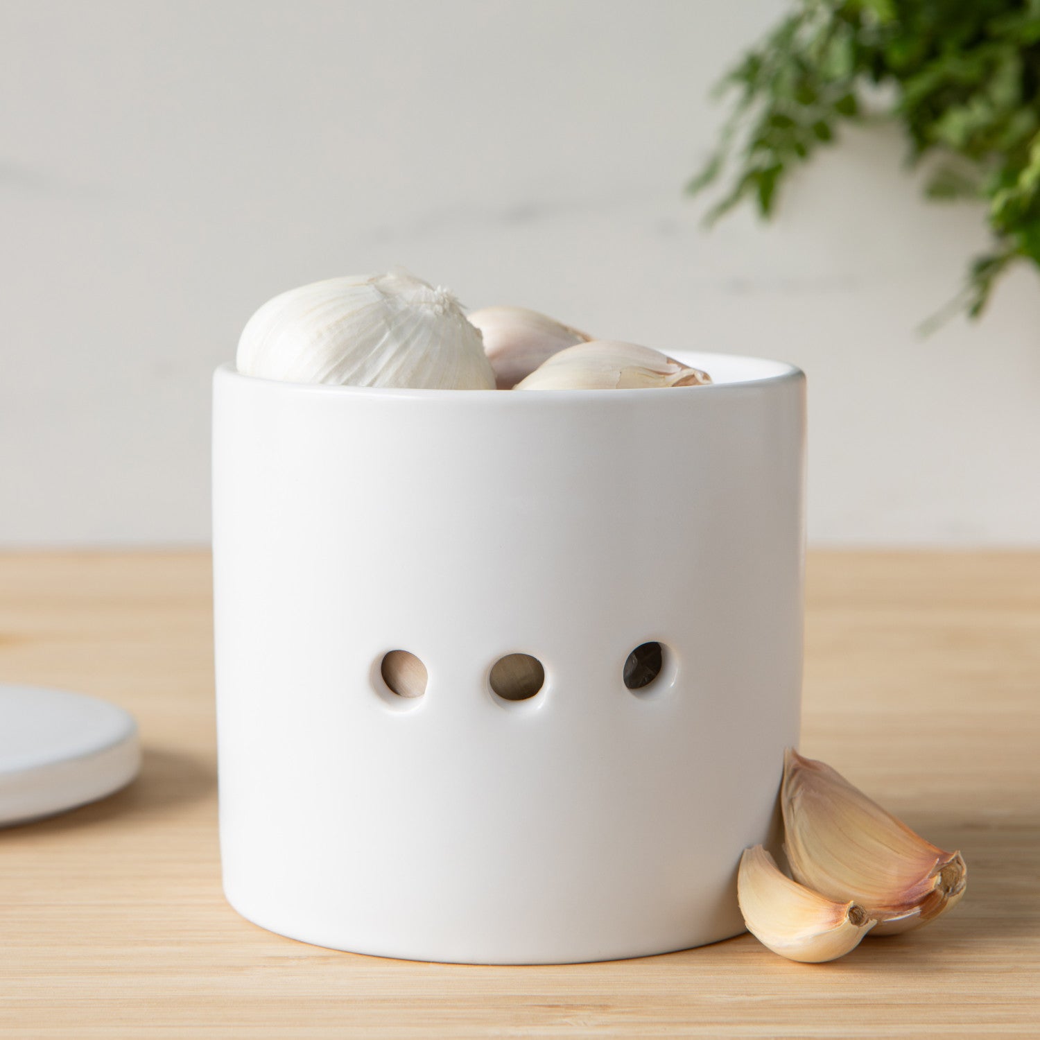 Garlic Keeper - Matte White