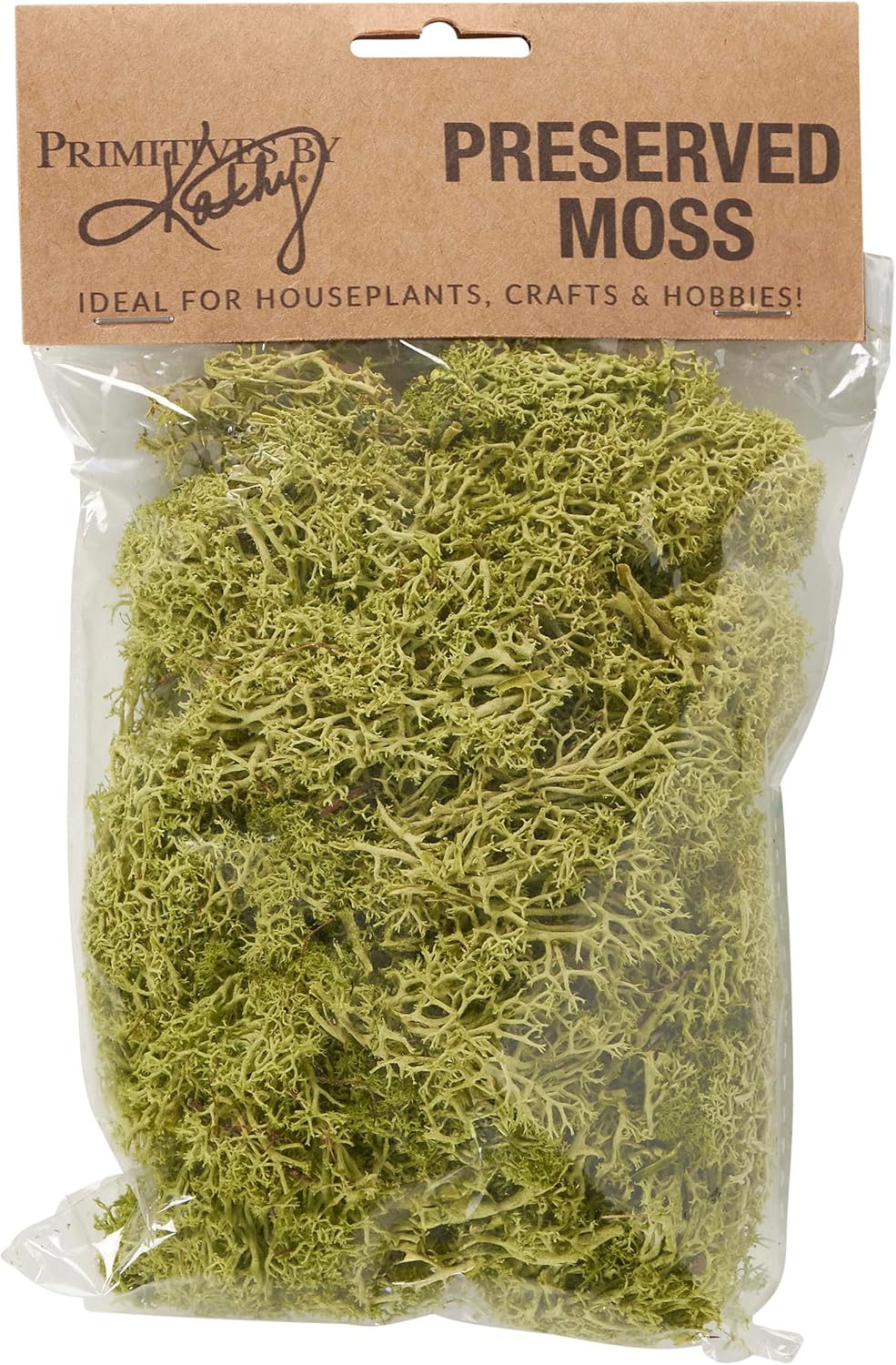 Preserved Moss