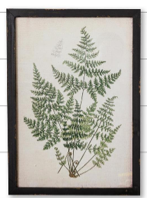 Fern Prints