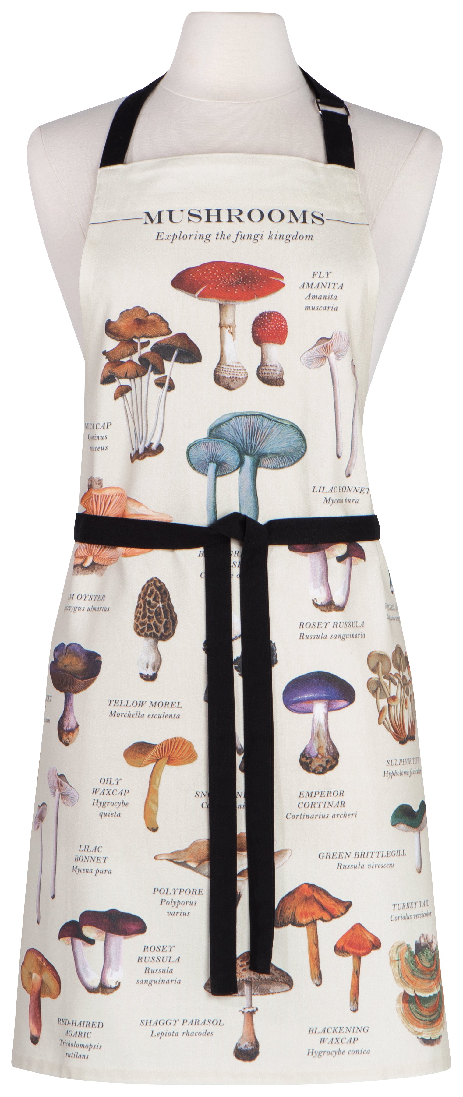 Apron - Fine Print Mushrooms