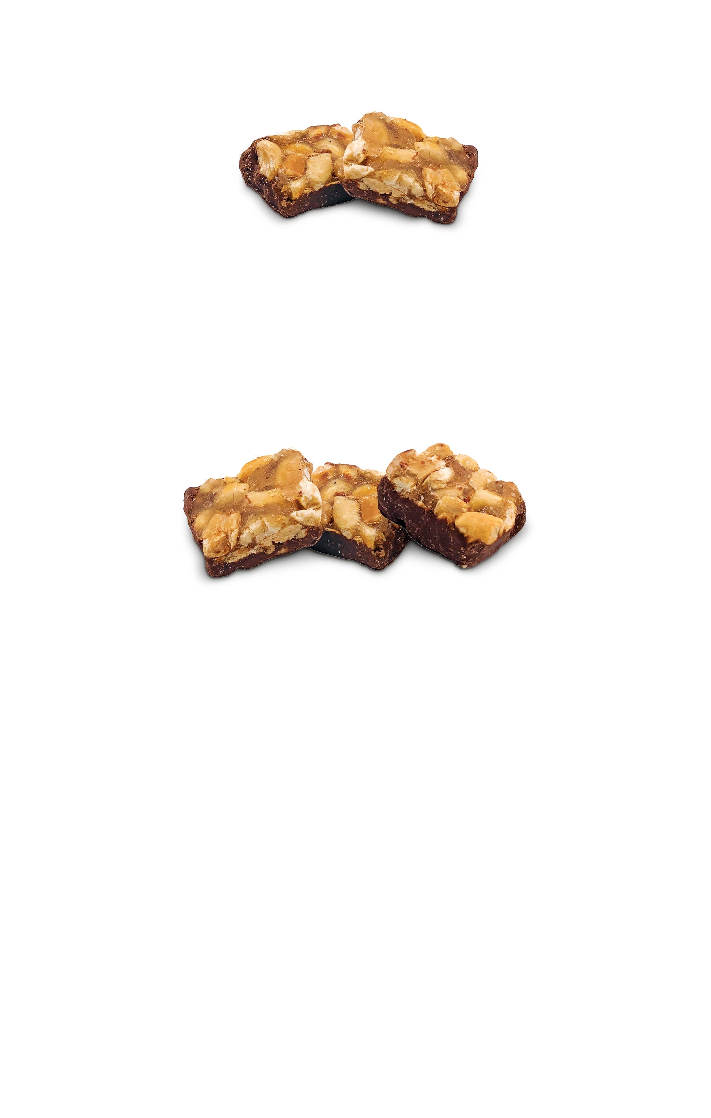 9oz. Half-Dipped Peanut Squares