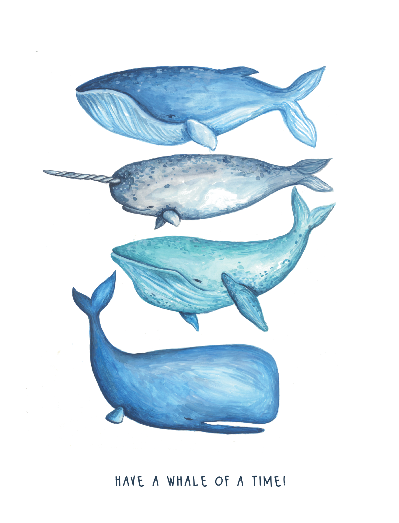 Whales Birthday Greeting Card