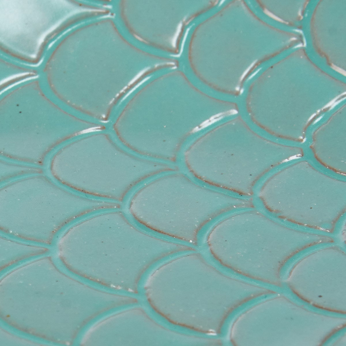 Fish Tray