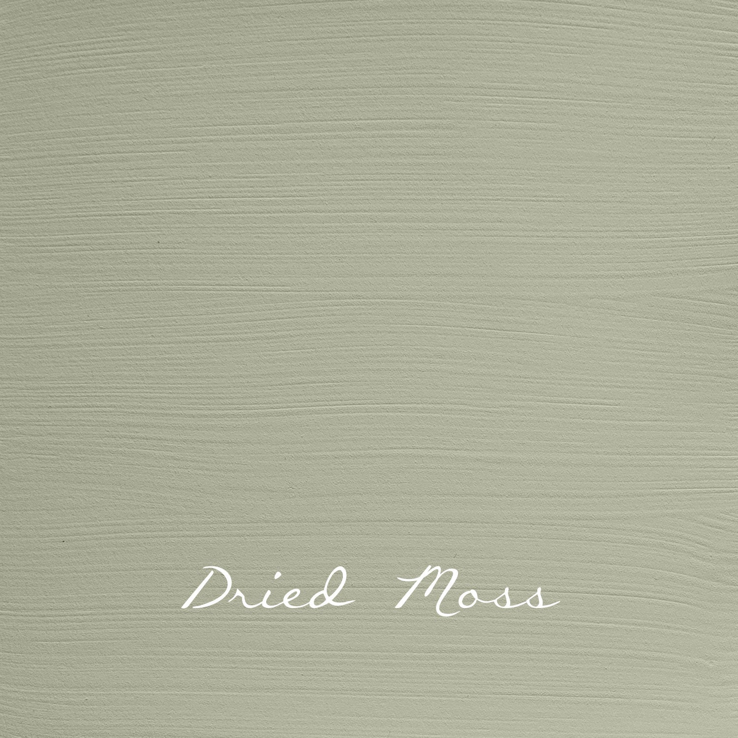 Vintage Dried Moss